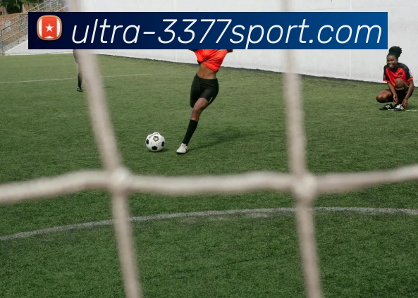 3377体育发展历程