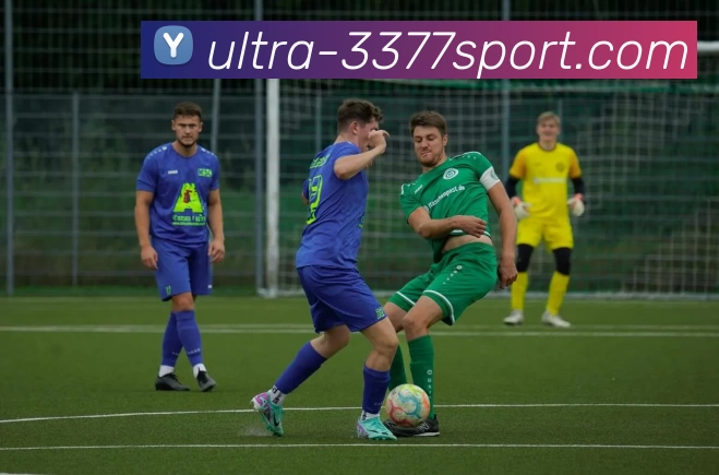 大学篮球赛活动目的探讨与意义分析促进校园文化与学生身心健康发展